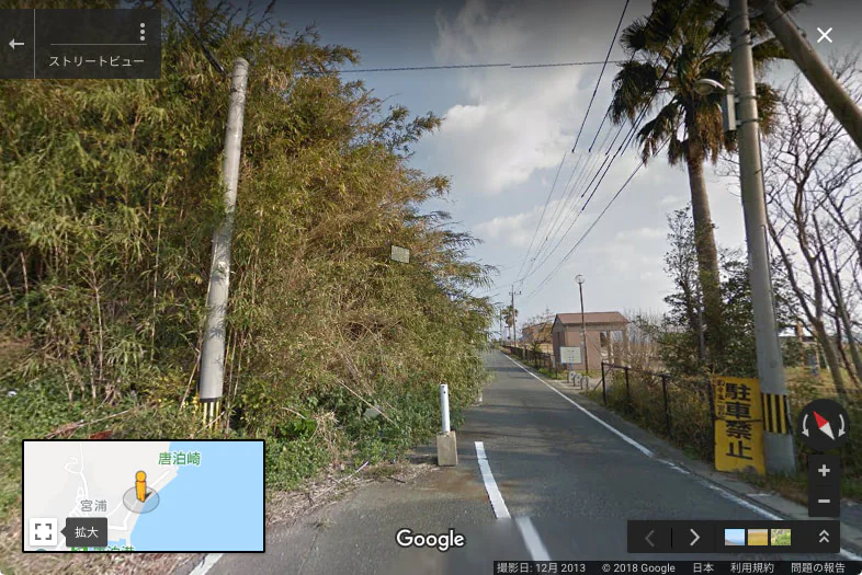 雑木林に覆われた山しか見当たらないGoogleストリートビュー