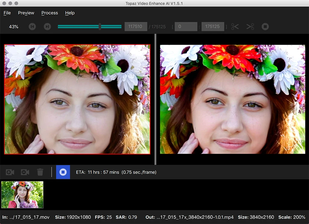 Video Enhance AIの処理