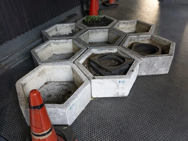 植物ポッドの痕跡