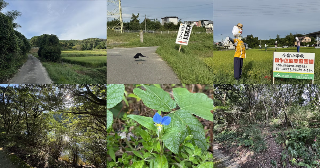 田畑を抜けて進む山道